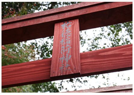 祐徳稲荷神社に行ってはいけない人とは？怖いと言われる理由やジンクスを徹底解説！