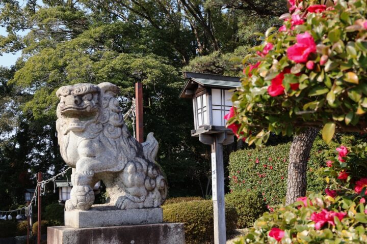 椿大神社の基本情報！人気のお守りや境内の様子を詳しく解説