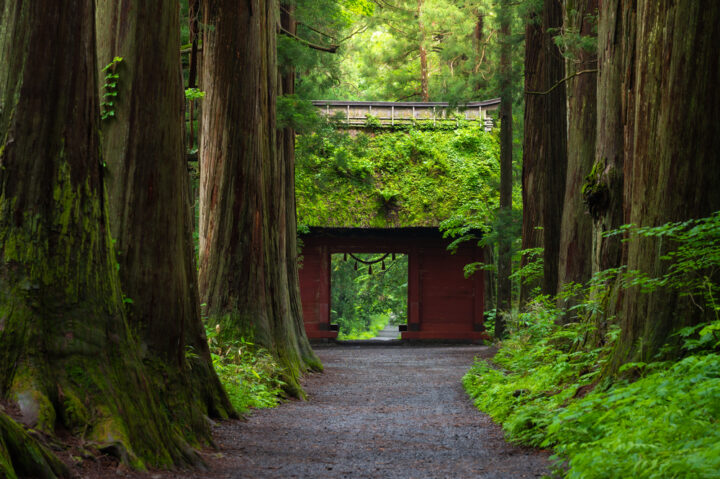 戸隠神社に行ってはいけない？呼ばれると危険って本当？参拝の準備やマナーも！